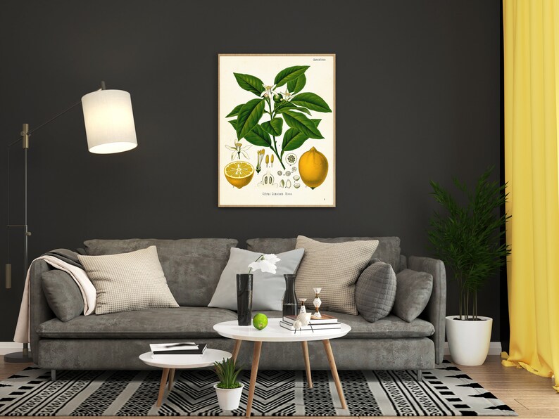 vintage Lemon print in living room