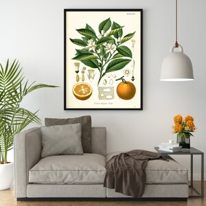 vintage orange print in room