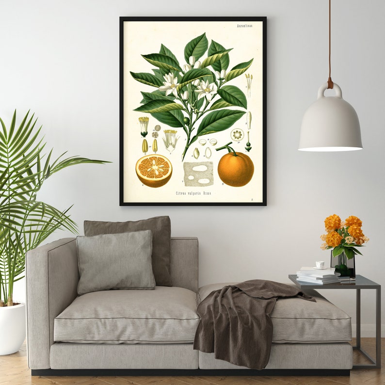 vintage orange print in room