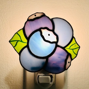 Blueberry stain glass night light with switch control and bulb