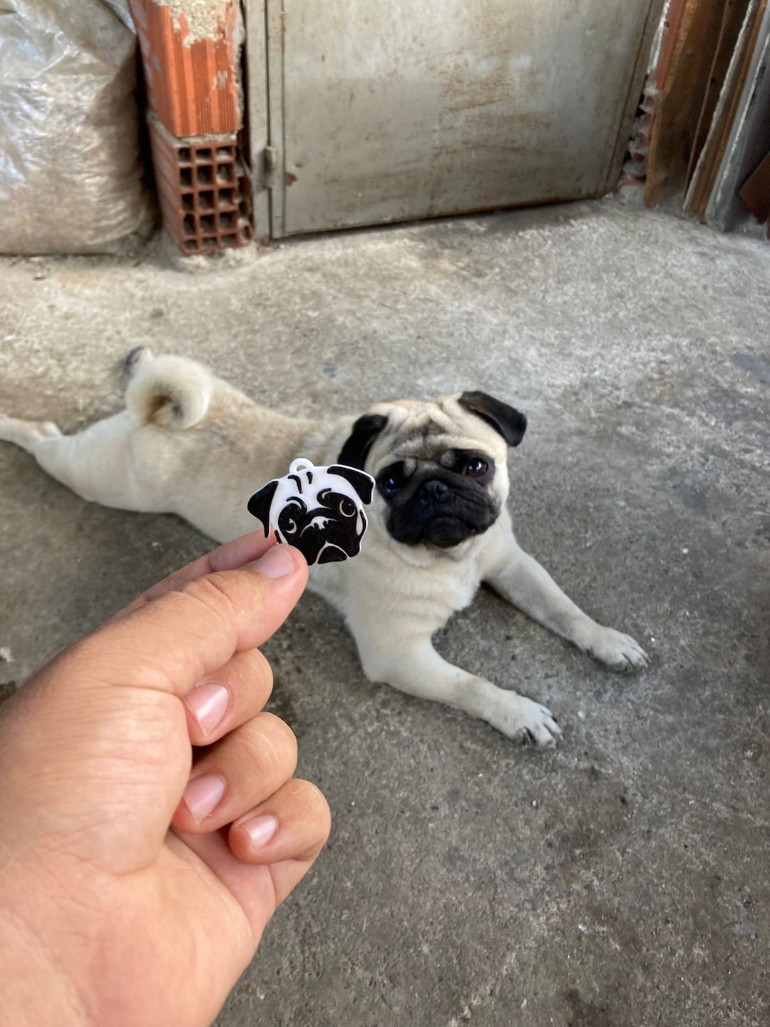 Pug Keychain 3D Printed Dog Keychain Pug Keyring Etsy