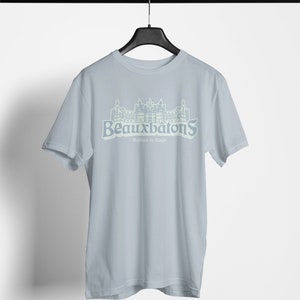 Beauxbatons Shirt, Wizard School T-Shirts, Potter Shirts, Universal Studios Tee, Disney Trip Shirt, Disney Vacation T-Shirt, Potterhead Tee
