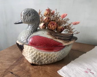 Soupière vintage en forme de canard / Oie en céramique / Terrine aux oiseaux en majolique