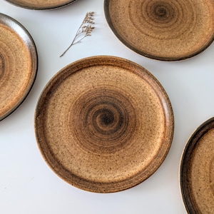 Może przedstawiać: Kolekcja okrągłych ceramicznych talerzy z nakrapianym szkliwem w odcieniach brązu i beżu oraz ciemnobrązowym spiralnym wzorem rozchodzącym się od środka. Talerze mają gładką, płaską powierzchnię z lekko uniesionym brzegiem i naturalnym wykończeniem.