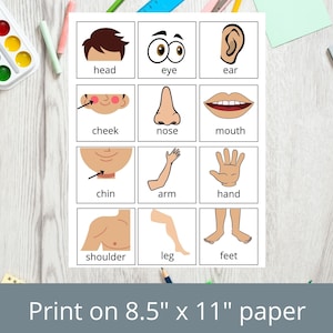 May include: A printable worksheet with illustrations of different parts of the human body, including the head, eye, ear, cheek, nose, mouth, chin, arm, hand, shoulder, leg, and feet. The worksheet is designed to be printed on 8.5" x 11" paper.