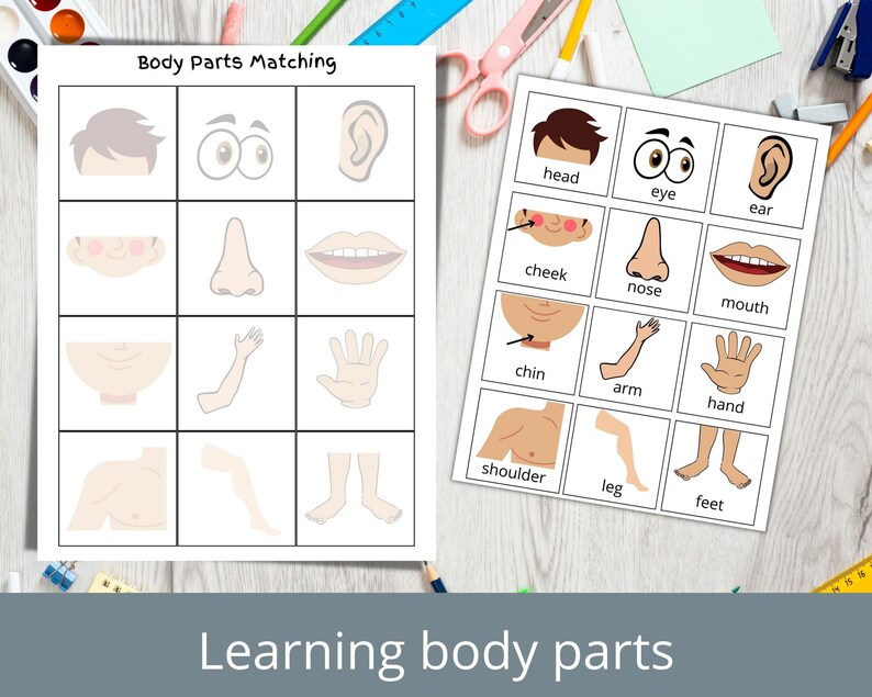 May include: A printable worksheet for learning body parts. The worksheet has two sections. The first section has a grid with images of body parts and the second section has a grid with the names of the body parts. The worksheet is titled "Body Parts Matching".
