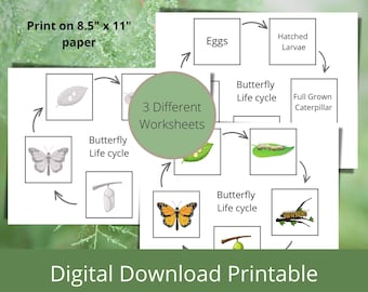 Schmetterling Lebenszyklus Arbeitsblätter: Ausschneiden und Einfügen Aktivität (Digitaler Download)