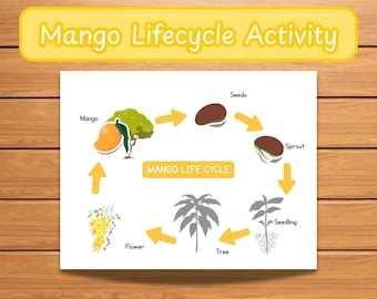 Mango Life Cycle Activity for Kids – Fun and Educational Printable