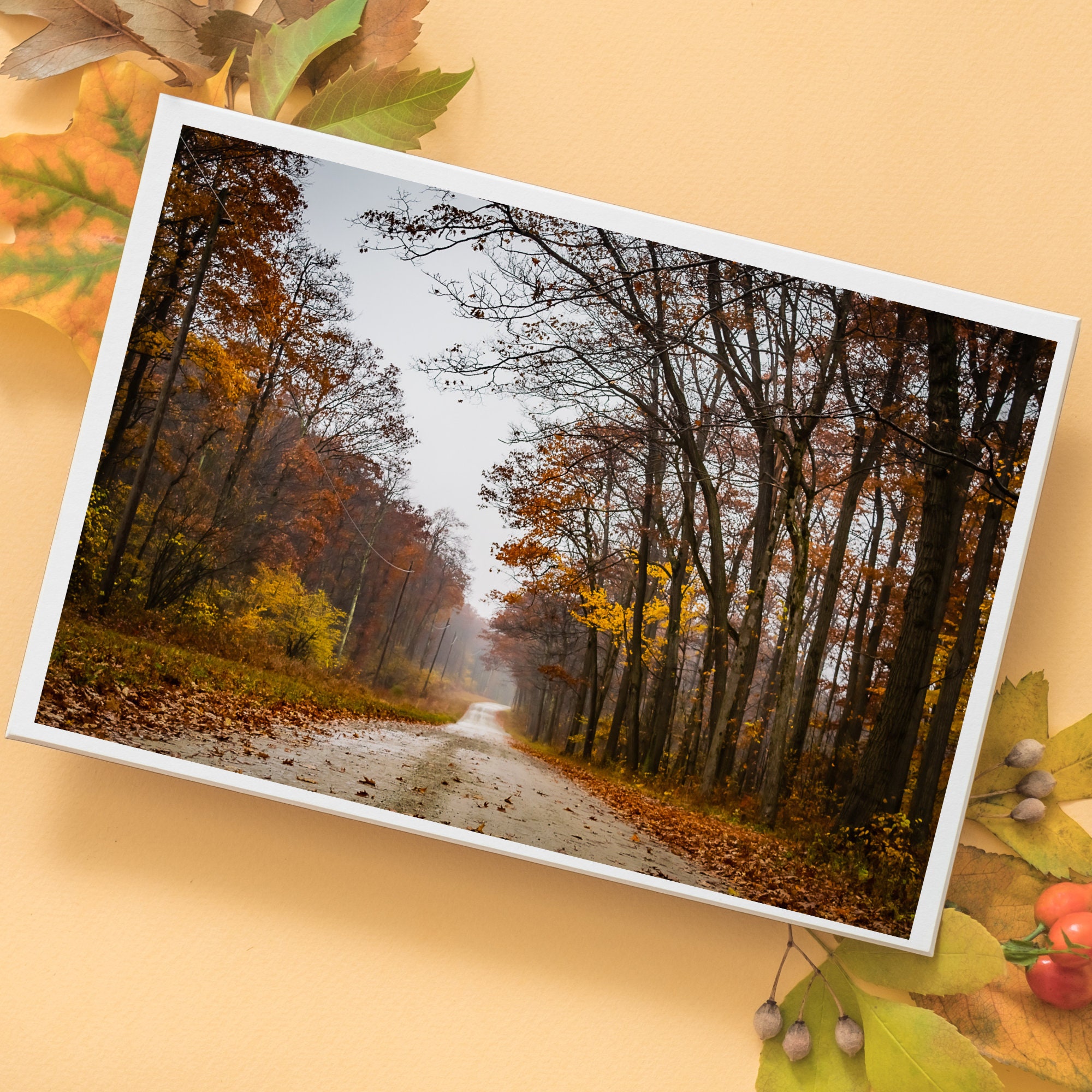 Fall Note Cards, Set of 10 Fall Photo Note Cards With Envelopes, Photo ...