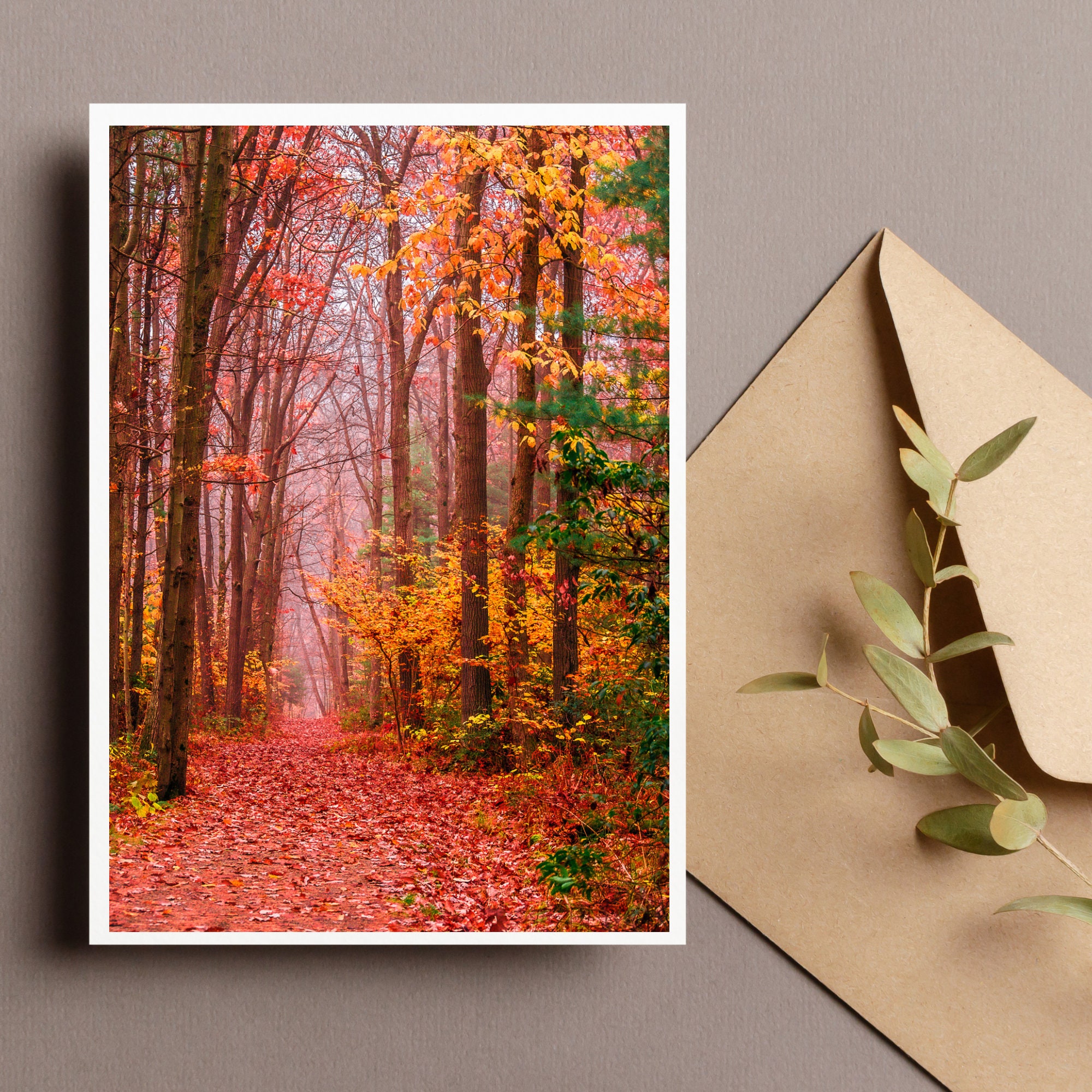 Fall Note Cards, Set of 10 Fall Photo Note Cards With Envelopes, Photo ...