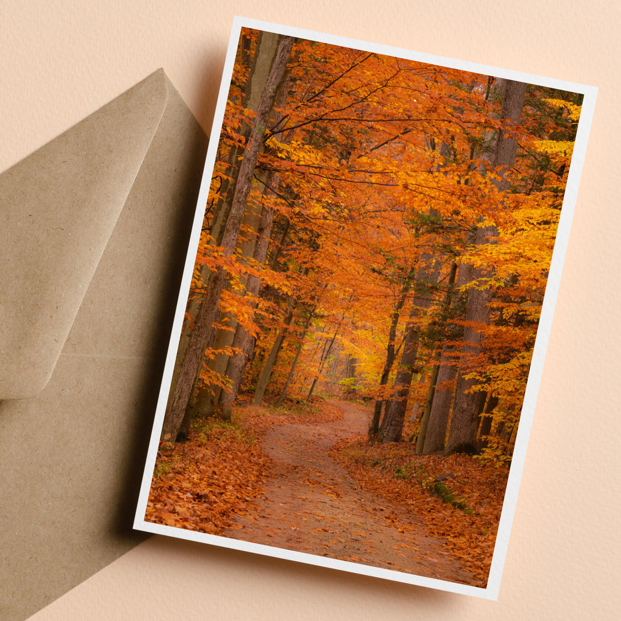 Fall Note Cards, Set of 10 Fall Photo Note Cards With Envelopes, Photo ...