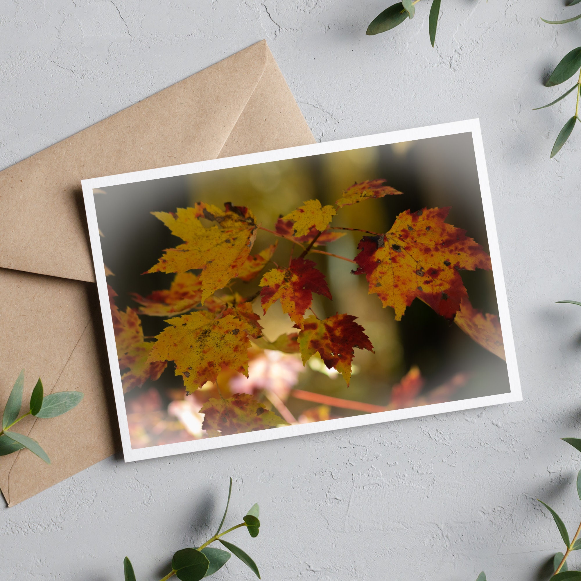 Fall Note Cards, Set of 10 Fall Photo Note Cards With Envelopes, Photo ...