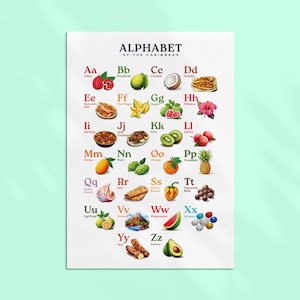 Karibisches Alphabet Poster Lernbare ABC Wandkunst Kinderzimmer Dekor Kinderzimmer Alphabet Kunst Insel unter dem Motto ABCs Buntes karibisches Kinderzimmer-Thema