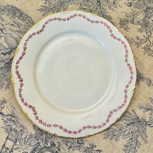 Théodore Haviland Limoges France, Floral Lunch/Dinner/Dessert/Service Plate, Gold Rim, Vintage French Antique Porcelain 25cm