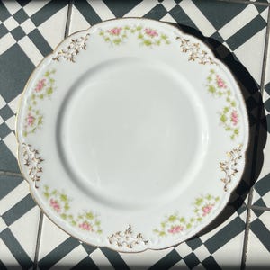 Limoges France, Lunch/Dinner/Dessert Plates, Floral Pattern, Gold Rim, Dinner Plate, Vintage French Antique Porcelain, 22cm