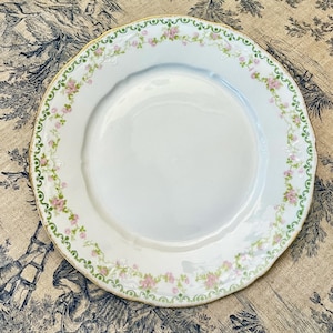 Limoges France, Lunch/Dinner/Dessert/Cake Plates, Floral Pattern, Gold Rim, Dinner Plate, 24.5cm, Vintage French Antique Porcelain