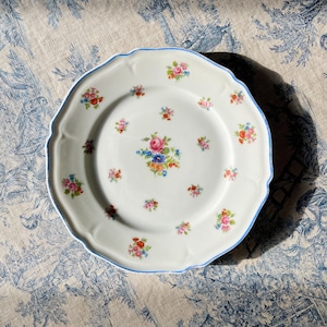 Limoges France PALLAS, Luncheon Plates, Dessert/Cake/Dinner, Floral, Flat/Serving Dish 22cm, Vintage Antique French Porcelain