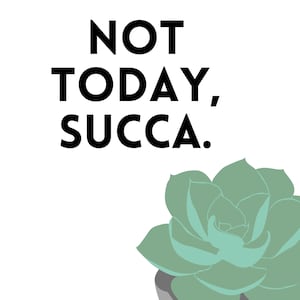 Not Today, Succa.