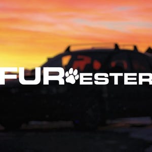 May include: A black car with the word "FUR" and a paw print followed by "ESTER" on the back.