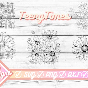 Daisy flower svg, Daisy svg, Flower svg, Sunflower svg, spring daisy flower svg, spring svg, floral, svg files for cricut, digital download