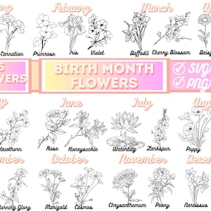 BirthMonth svg Bundle | Flower svg | Birth Flower svg | Floral svg | Botanical svg | Rose svg | Daisy svg | Poppy svg | svg files for cricut