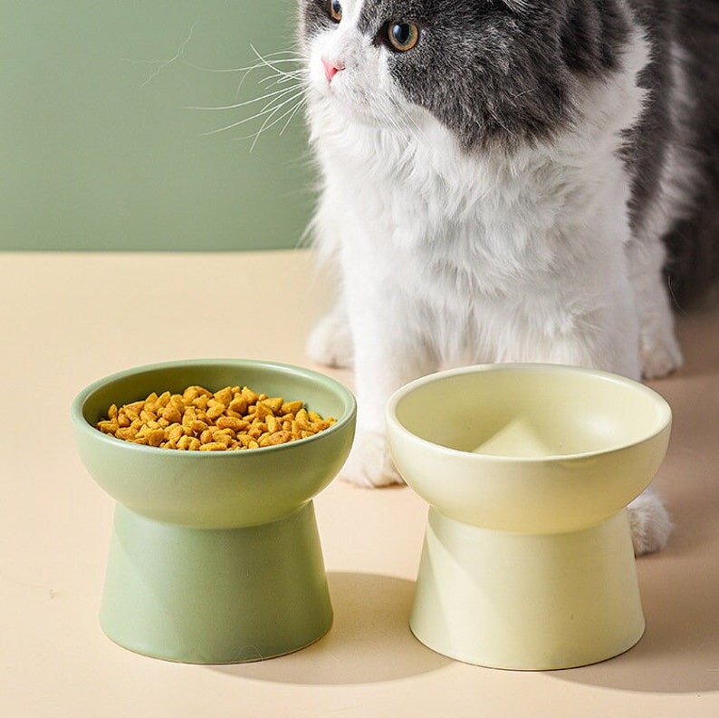 Elevated Cat Bowls Raised Cat Bowls Cat Food Bowl Tilted Etsy UK