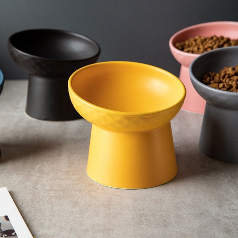 Elevated Cat Bowl Cat Bowls Cat Feeding Bowl Etsy