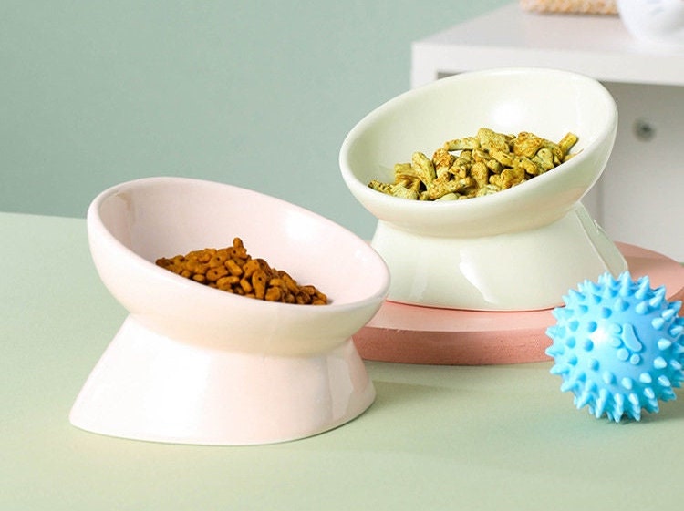 Ceramic Cat Bowl Elevated Cat Bowls Raised and Tilted Cat Etsy