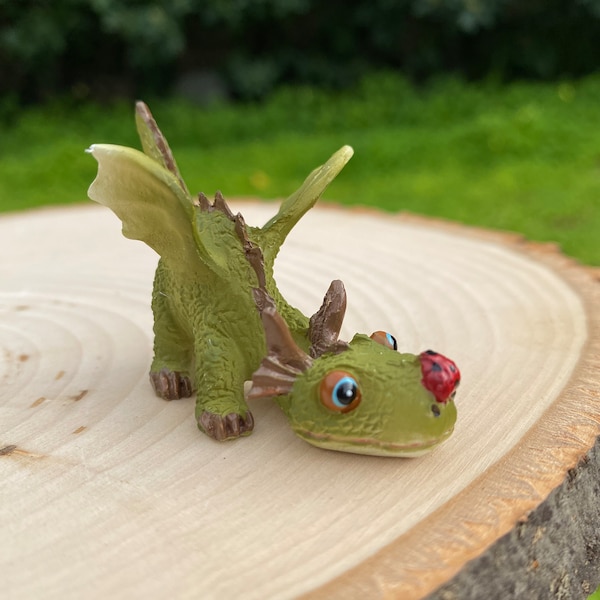 Miniature Baby Dragon Playing with Ladybug, Fairy Garden Accessories, Potted Plant Decor, Fairy Gardener Gift, Mini Ladybug, Terrarium Art