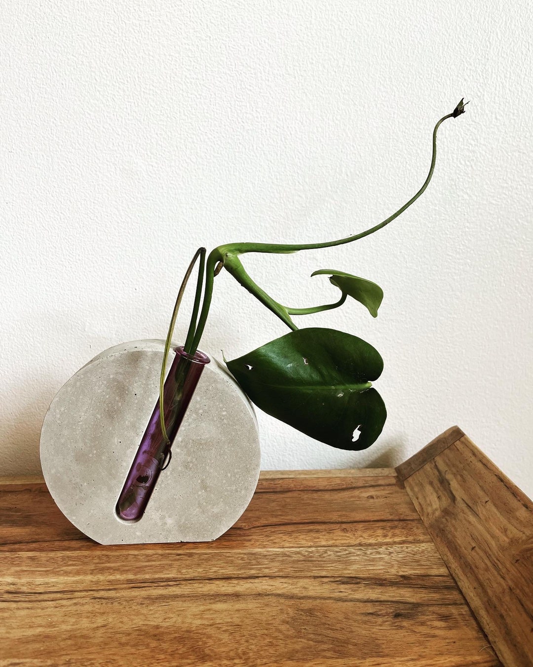 Concrete Propagation Station With Test Tube