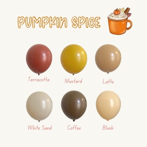 Fall Color Pumpkin Spice Latex Balloons, Terracotta, Mustard, Brown, Coffee, Blush, Sand, Balloon Garland DIY, Boho