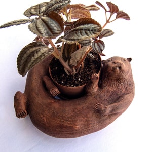 Original Otter Bowl, Flower Pot, Succulent Planter, 3D Printed, Wooden Dish image 8