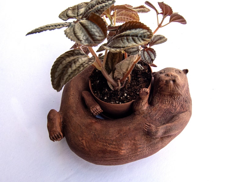 Original Otter Bowl, Flower Pot, Succulent Planter, 3D Printed, Wooden Dish image 8