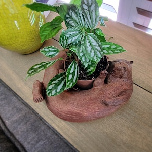 Original Otter Bowl, Flower Pot, Succulent Planter, 3D Printed, Wooden Dish image 5