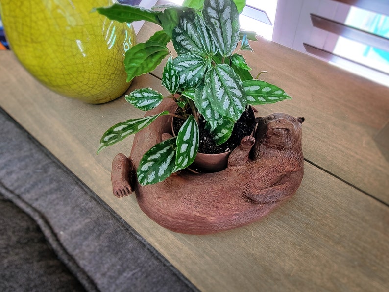 Original Otter Bowl, Flower Pot, Succulent Planter, 3D Printed, Wooden Dish image 5