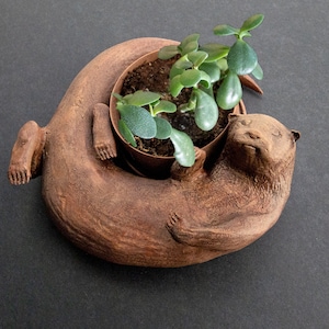 Original Otter Bowl, Flower Pot, Succulent Planter, 3D Printed, Wooden Dish