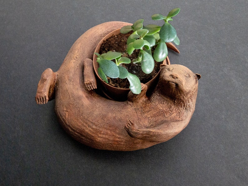 Original Otter Bowl, Flower Pot, Succulent Planter, 3D Printed, Wooden Dish image 1