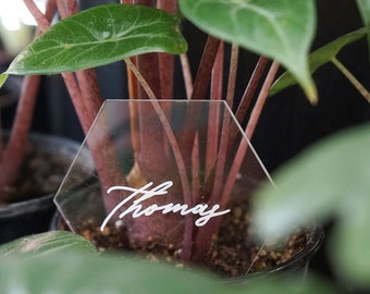 Acrylic Place Cards | Handwritten Acrylic Place Cards | Wedding Place Cards | Wedding Escort Cards | Acrylic Escort Cards