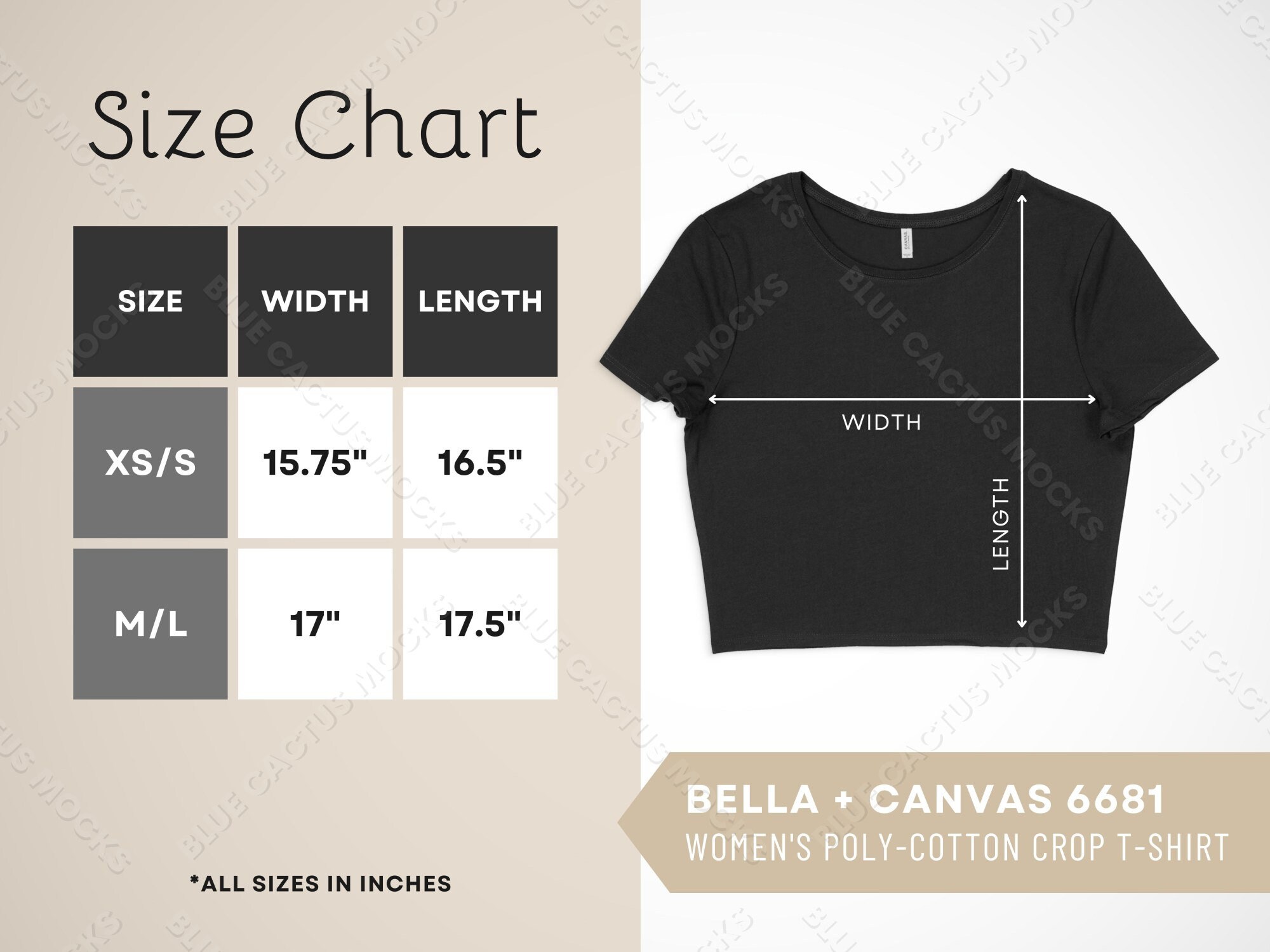Bella Canvas 6681 Size Chart T Shirt Sizing Guide for Womens Polycotton Crop Tee JPG Design Template 6681 Mockup Gallery Photo