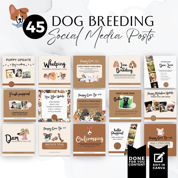 Dog Breeder Social Media Templates, Puppy Instagram Posts, Editable Canva Templates, Doggy Business, Pet Care Content, Dog Pedigree, BB012