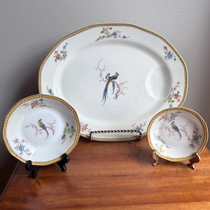 Vintage Haviland Limoges China: Eden Birds of Paradise, 1920s Replacement China