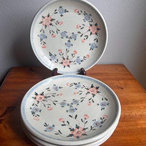 May include: A set of round ceramic plates featuring a cream-colored base with a hand-painted floral pattern of pink blossoms and small blue flowers on green stems. Each plate has a light blue checkered border along the outer rim edge.