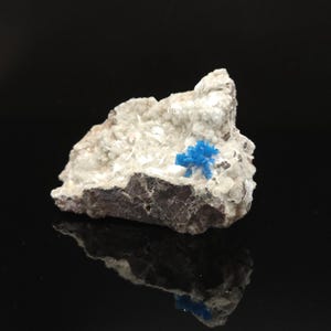 May include: A mineral specimen with a cluster of vibrant blue crystals on a light-coloured, textured rock. The rock has a dark, purplish-brown base and a rough, uneven surface. The background is black.