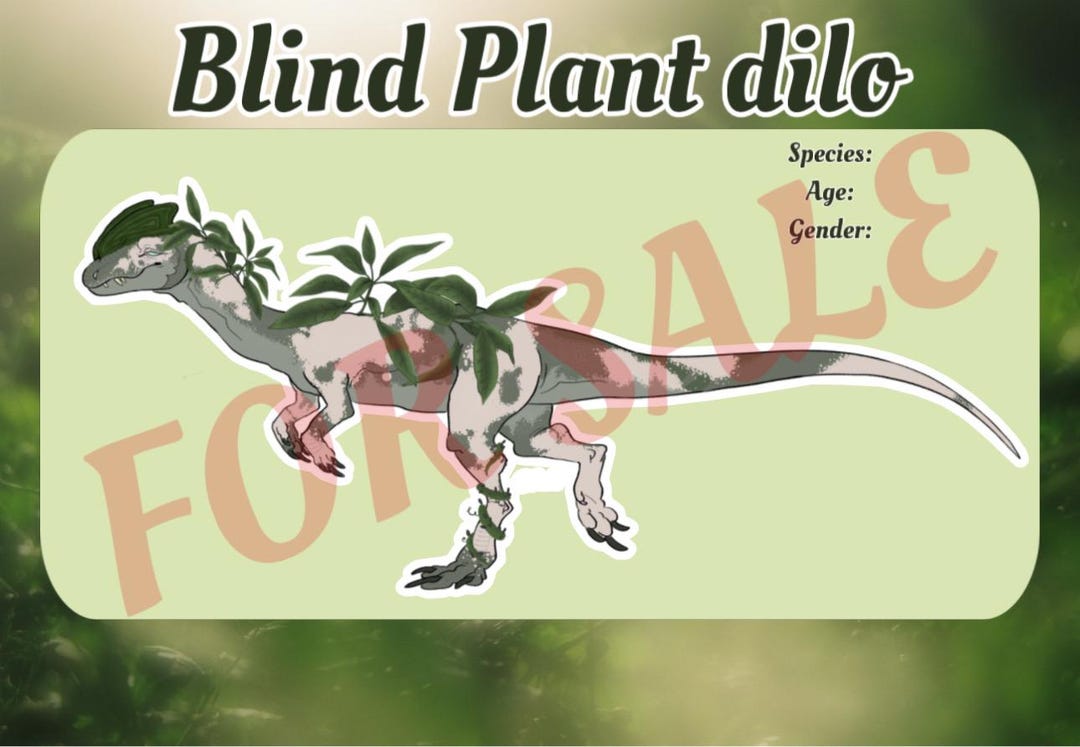 Blind Plant Dilo Adopt - Etsy