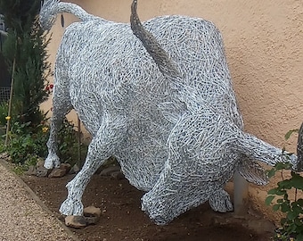 Large Gray cattle bull