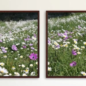 Flowers field Set of 2 photo prints