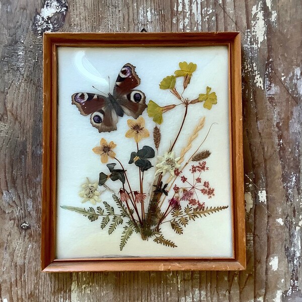 Cadre verre bombé papillon fleurs séchées