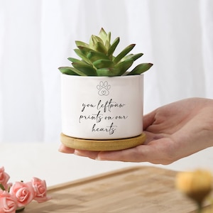 Op de afbeelding: Een witte keramische plantenpot met een groene vetplant. De pot heeft een pootafdrukontwerp en de tekst "you leftpaw prints on our hearts". Hij staat op een ronde, lichtbruine bamboe schotel.