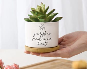 May include: A white ceramic planter with a green succulent plant. The planter has a paw print design and the text "you leftpaw prints on our hearts". The planter sits on a round, light brown bamboo saucer.