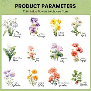 Puede incluir: Un gr&aacute;fico que muestra 12 flores diferentes, cada una representando un mes del a&ntilde;o. Las flores est&aacute;n ilustradas en estilo acuarela y est&aacute;n etiquetadas con sus nombres y el mes correspondiente.